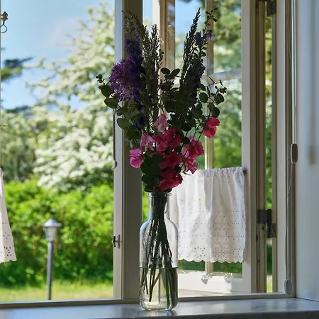 Hygge Ho - Mitten In Der Natur Mit Sauna Und Spa